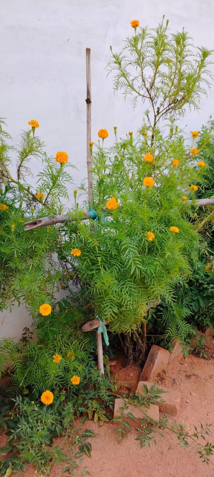 Laxmi Home Stay Ghura Luaran gambar